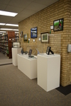 Art in the Library Exhibition Fall 2017